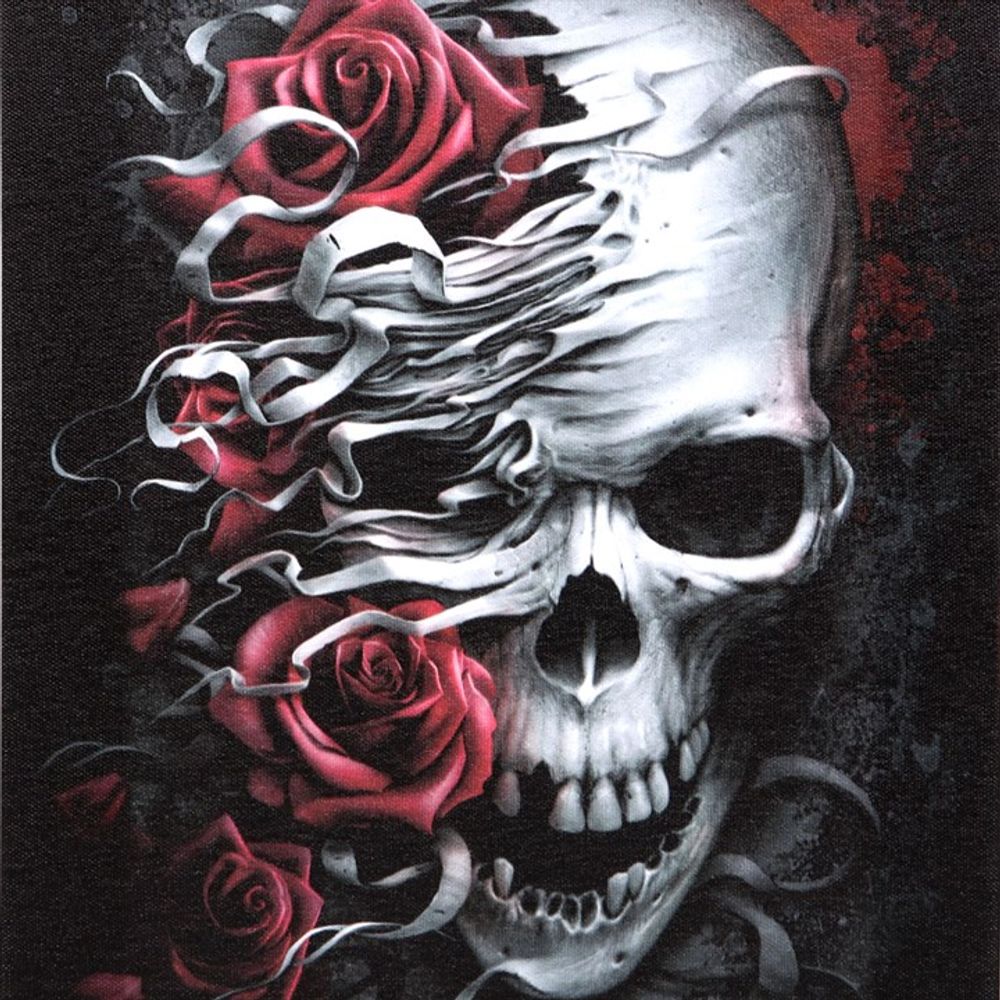 19x25cm Skulls n Roses Canvas Plaque by Spiral Direct