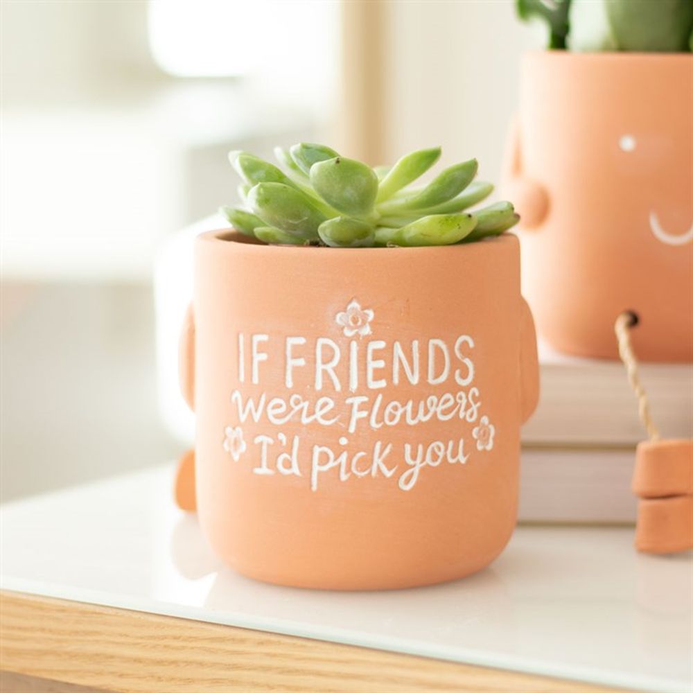 If Friends Were Flowers Sitting Plant Pot Pal