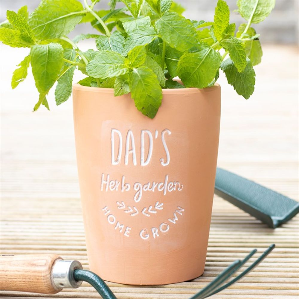 Dad's Garden Terracotta Plant Pot